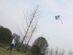 -羊山湖公园
