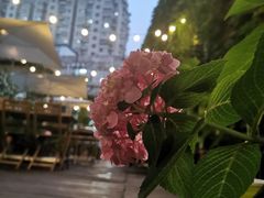 -秘密小花园(第三中学店)