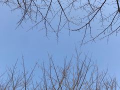 -白塘生态植物园