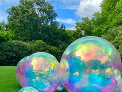 -上海共青森林公园