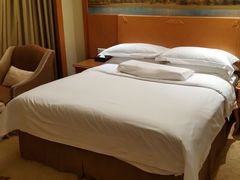 -维也纳国际酒店·深圳北站店