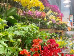 -双季花艺园艺市场(浦东店)