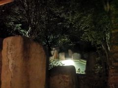 -腾冲和顺柏联酒店