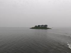 -滕州微山湖红荷湿地景区