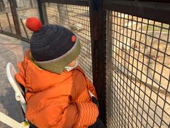 -石家庄市动物园