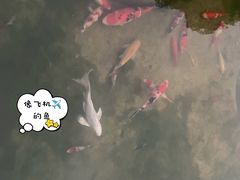 -宝岩生态观光园