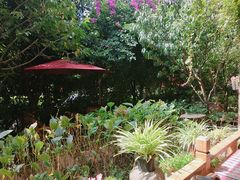 阳台风景-月亮眼花园餐厅书吧酒吧