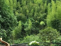 -将军关探险漂流