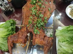 -杨正宗烤全羊(北二环店)