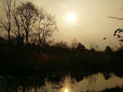 -白鹭湾湿地公园