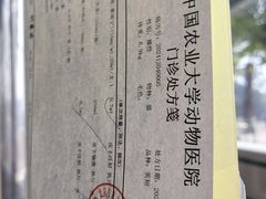 -中国农业大学动物医院