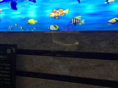 -水立方国际汤泉(六一中路店)