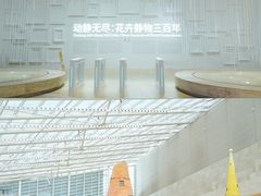 -德基艺术博物馆