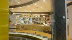 -莎蔓莉莎美容会所