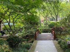 -中国茶叶博物馆(双峰馆区)