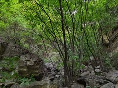 -孤山寨风景区