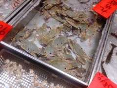 -湛江渔港·大排档(乐园路总店)