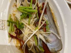 油泼特大蛏子-开海·红岛海鲜虾水饺(石老人店)