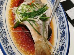 -至潮餐厅精致粤菜·活鲈鱼·走地鸡(珠江新城店)
