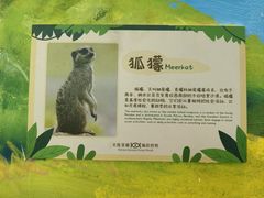 -大连圣亚海洋世界