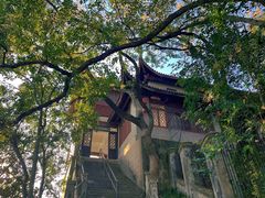 -溪口-滕头旅游景区