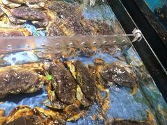 水产区-徐记海鲜(大雁塔|金都店)