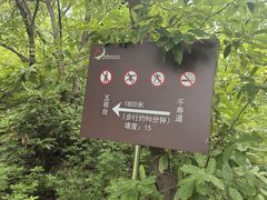-北京十三陵国家森林公园蟒山景区