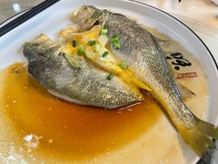 -得心斋(国瑞升平里店)
