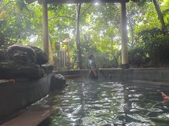 -腾冲洞山温泉村