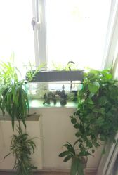 -和寿堂·艾灸·推拿按摩减肥中心