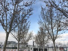 -北京园博大酒店