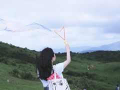 -大姆山草场