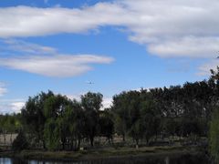 -东郊湿地公园