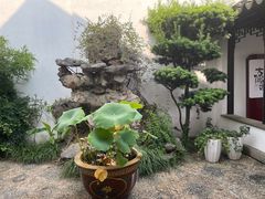 -嘻哈壹笑堂相声茶馆(大儒巷店)