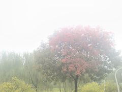 -滨湖塘西河公园
