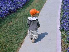 -南通洲际绿博园