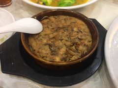 -有腥气私房菜·寻味顺德