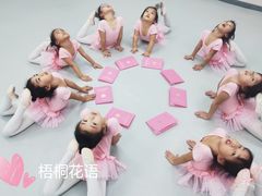 -梧桐花语舞蹈培训中心(潞城校区)