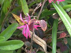 -明月山天沐温泉度假村