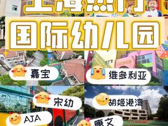 -宋庆龄幼儿园(虹梅路)