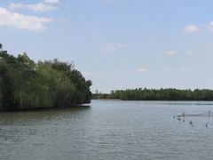 -杏花村文化旅游区