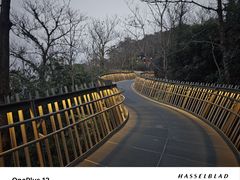 -福道