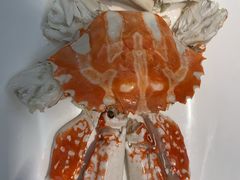 -吴记富苑(朝阳店)