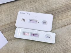 -汪星球宠物生活馆