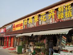 -沪花拾者(好再来花卉鲜花店)