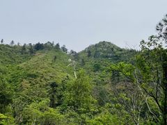 -木兰云雾山