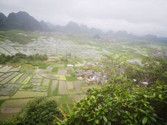 -会仙湿地