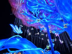 -淄博花灯齐彩城