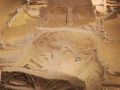 -洛阳周王城天子驾六博物馆