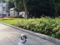 -兆祥公园